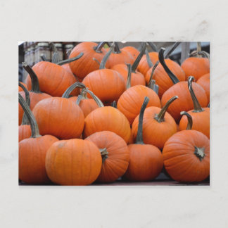 Carte Postale Citrouille, Citrouille et plus de Citrouilles, aut