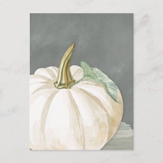 Carte Postale Citrouille d'automne blanc ferme (Devant)