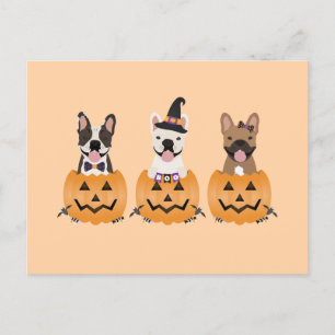 Carte Postale Citrouille d'Halloween des Bulldogs français