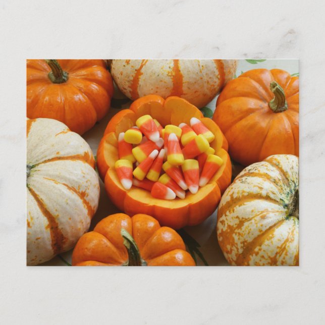 Carte Postale Citrouille et Candy Corn (Devant)