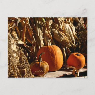 Carte Postale Citrouille et Corn