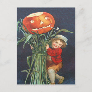 Carte Postale Citrouille Jack-o'-lantern Cornstalk Boy