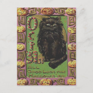 Carte Postale Citrouille Jack-o'-lantern du chat noir