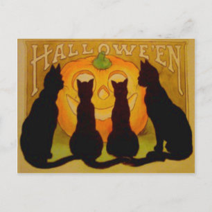 Carte Postale Citrouille Lanterne Jack Chat Noir