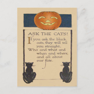 Carte Postale Citrouille Lanterne Jack O' Lantern Chat Noir