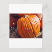 Citrouille orange