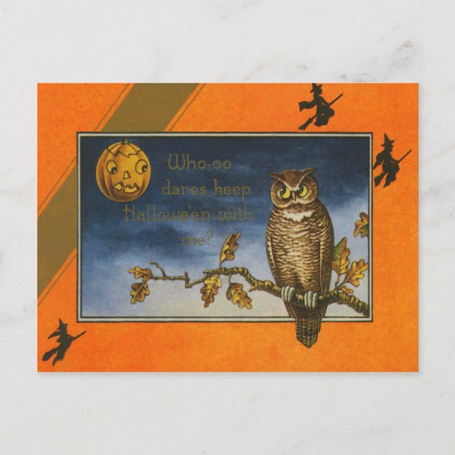 Carte Postale Citrouille Owl Jack-o'-lantern (Devant)