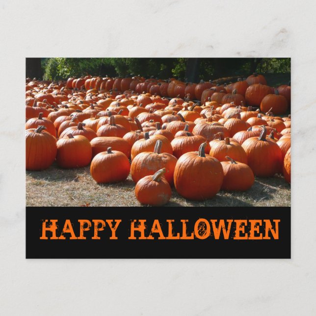 Carte Postale Citrouille Patch Halloween heureux (Devant)