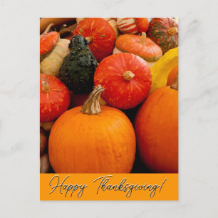 Carte Postale Citrouilles bons thanksgivings et squash