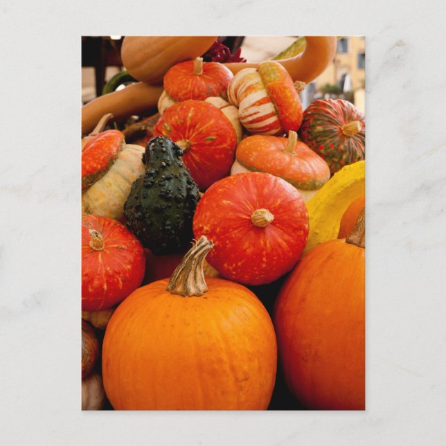 Carte Postale Citrouilles d'automne orange (Devant)