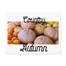 Citrouilles de marché de paysans Campagne Automne