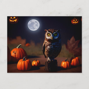 Carte Postale Citrouilles et hibou d'Halloween dans la nuit. Eff