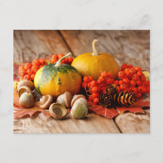 Carte Postale Citrouilles récoltés avec feuilles d'automne