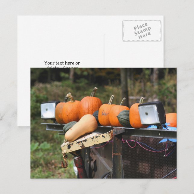 Carte Postale Citrouilles sur un camion personnalisé de campagne (Devant / Derrière)
