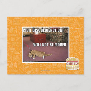 Carte Postale Civil Disobedience Cat