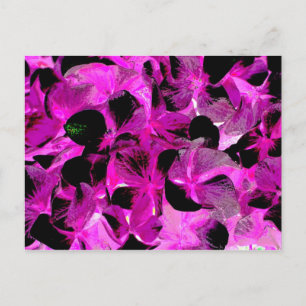 Carte Postale clair foncé 2