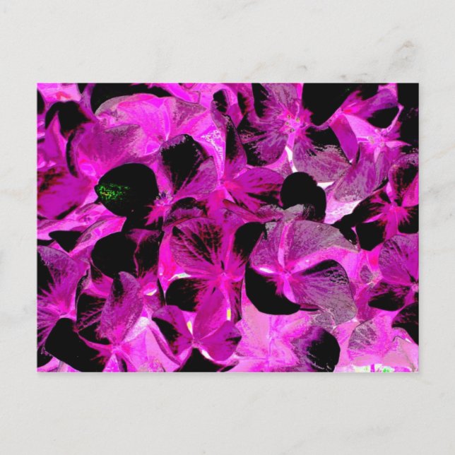 Carte Postale clair foncé 2 (Devant)