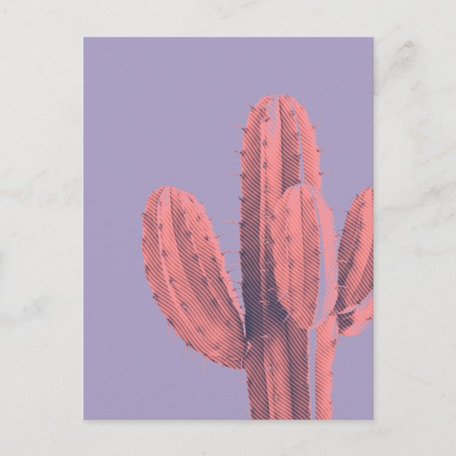 Carte Postale Clair Neon rose violet Cactus Succulent Photo (Devant)