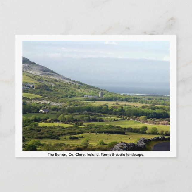 Carte Postale Clare, Irlande, fermes & champs en Kilfenora (Devant)