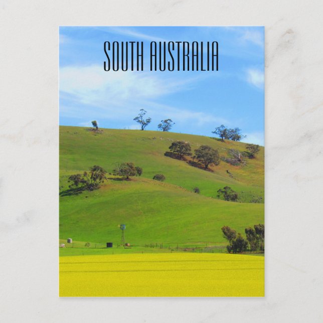 Carte Postale clare valley sud-australie (Devant)