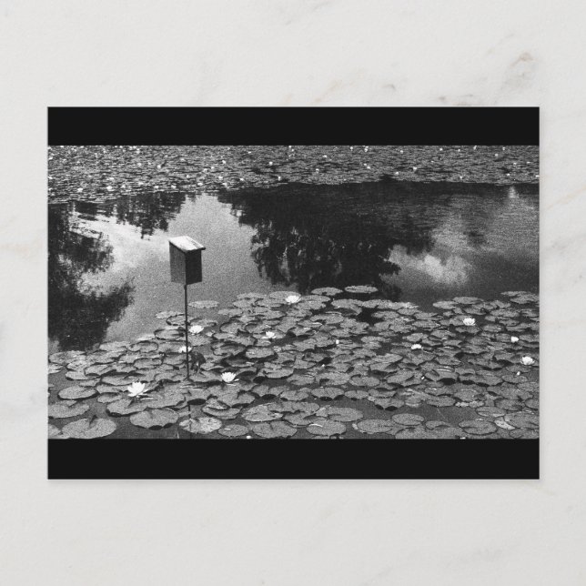 Carte Postale Clarté (Devant)