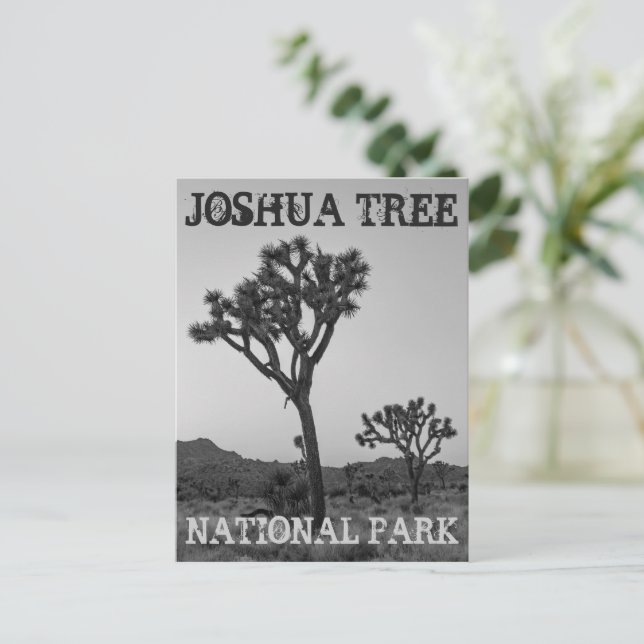 Carte Postale Classic tendance noir & blanc Joshua Tree Souvenir (Debout devant)