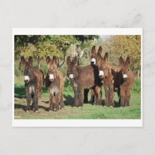 Carte postale classique