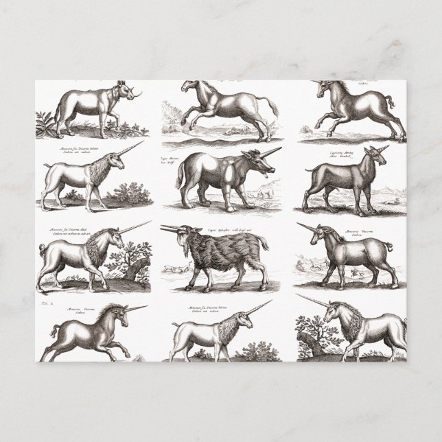 Carte Postale Classique Unicorne Antique Mythique Magie Créature (Devant)