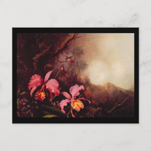 Carte postale classique/Vintage-Martin Johnson Hea