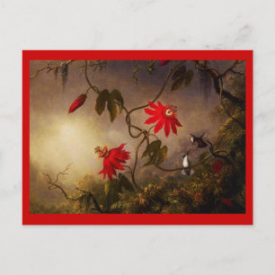 Carte postale classique/Vintage-Martin Johnson Hea
