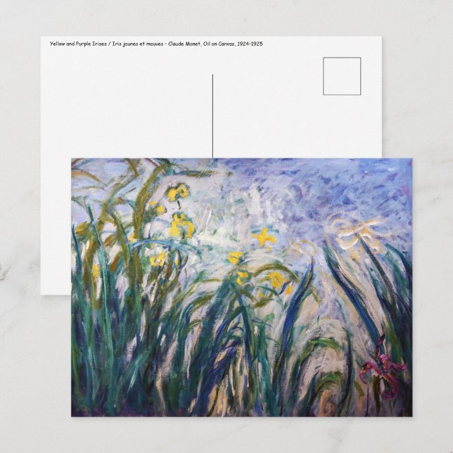 Carte Postale Claude Monet - Iris jaunes et violets (Devant / Derrière)