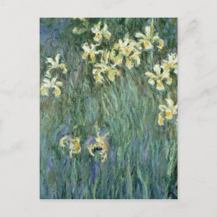 Carte Postale Claude Monet   les iris jaunes