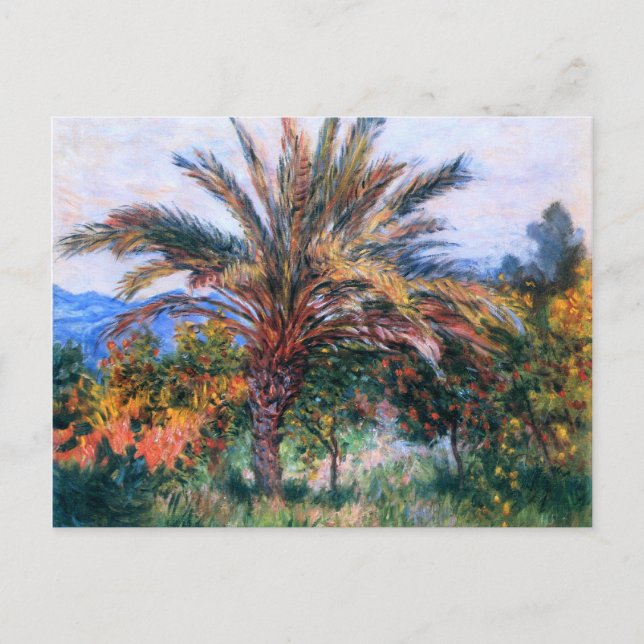 Carte Postale Claude Monet : Palmier à Bordighera (Devant)