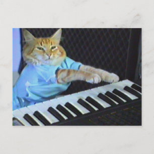 Carte Postale Clavier Cat !