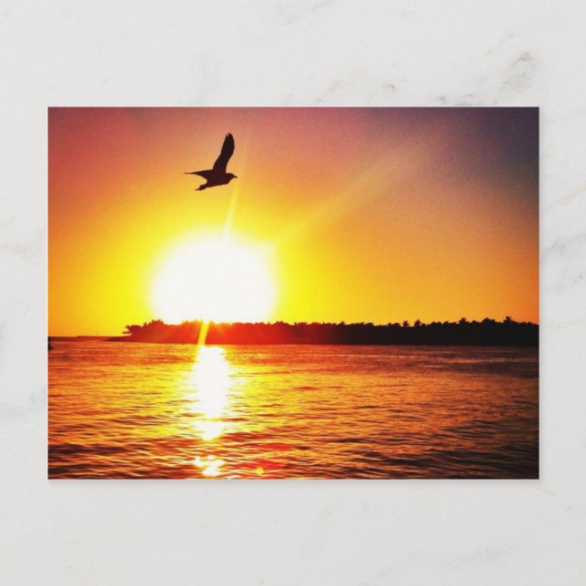 Carte Postale Clé West Sunset (Devant)