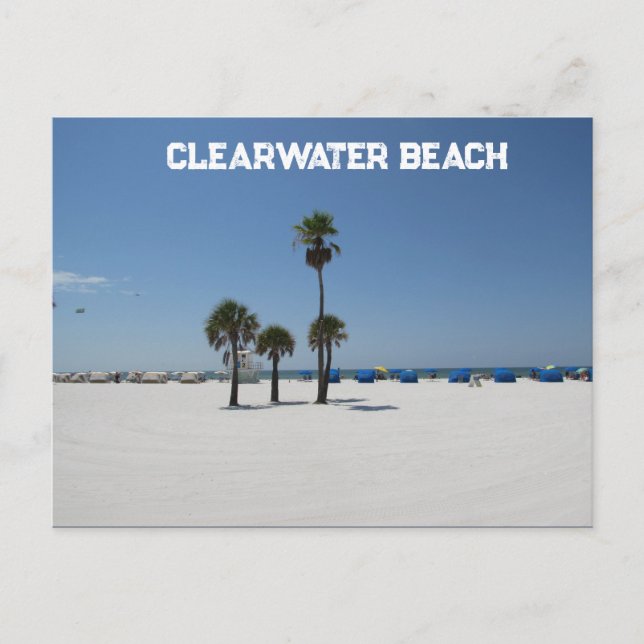 Carte Postale Clearwater Beach FL (Devant)