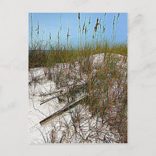 Carte Postale Clearwater Beach Floride cadeaux d'art