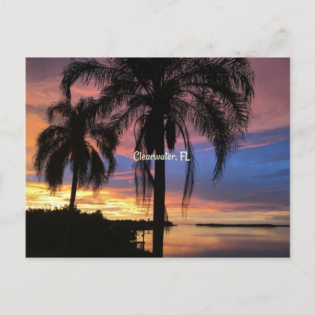 Carte Postale Clearwater, Floride photo paysage (Devant)