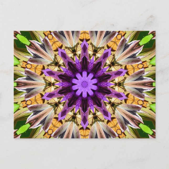 CARTE POSTALE CLEMATIS (Devant)