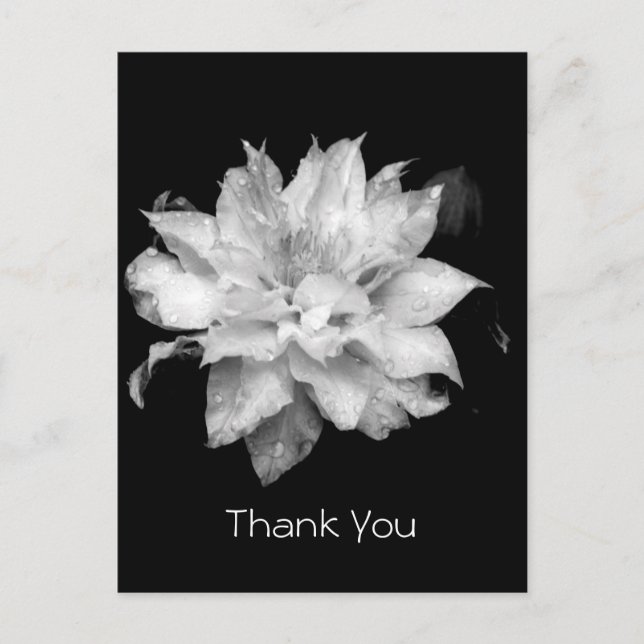 Carte Postale Clematis 3a Merci de la Sympathie du Mémorial (Devant)