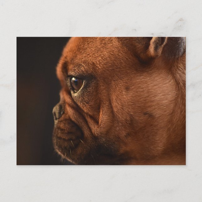 Carte Postale Clémentine (Devant)