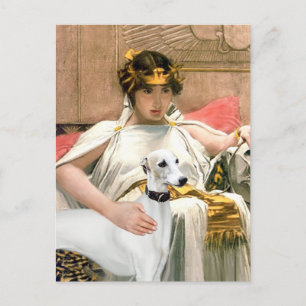 Carte Postale Cléopâtre et Whippet blanc