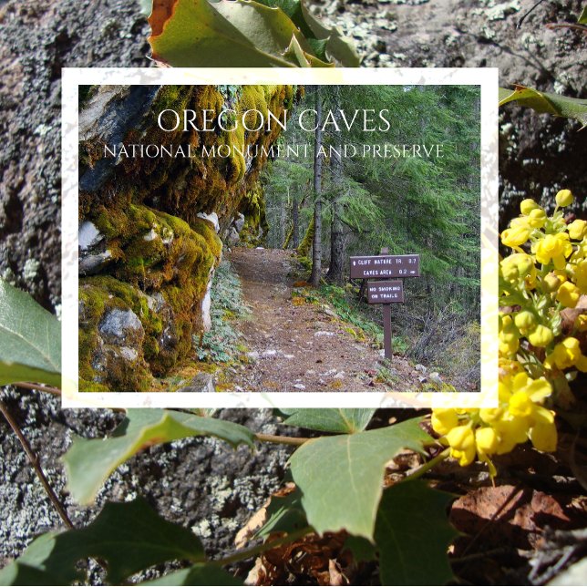 Carte Postale Cliff Nature Trailhead, Grottes de l'Oregon, Orego (Créateur téléchargé)