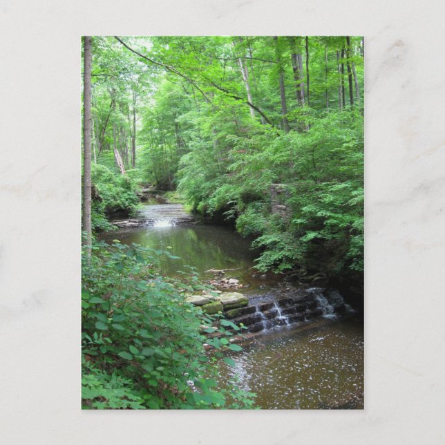 Carte postale Clifty Falls Creek (Devant)