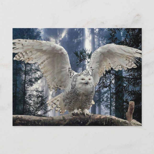 Carte Postale clin (Devant)