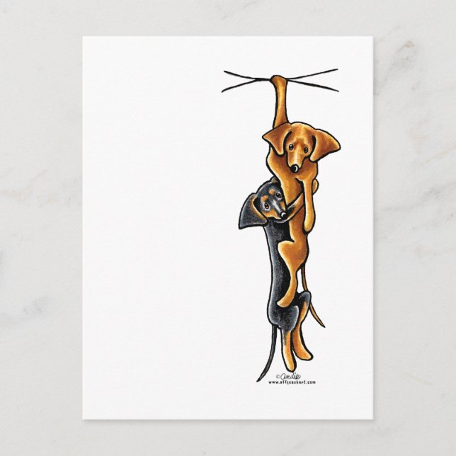 Carte Postale Clingy Dachshunds (Devant)