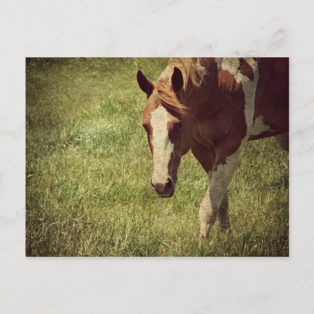 Carte Postale clinquant (Devant)