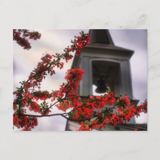 Carte Postale cloche fleurit le cimetière Virginie Vieux Lynchbu (Devant)