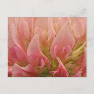 Carte Postale Clocher rose
