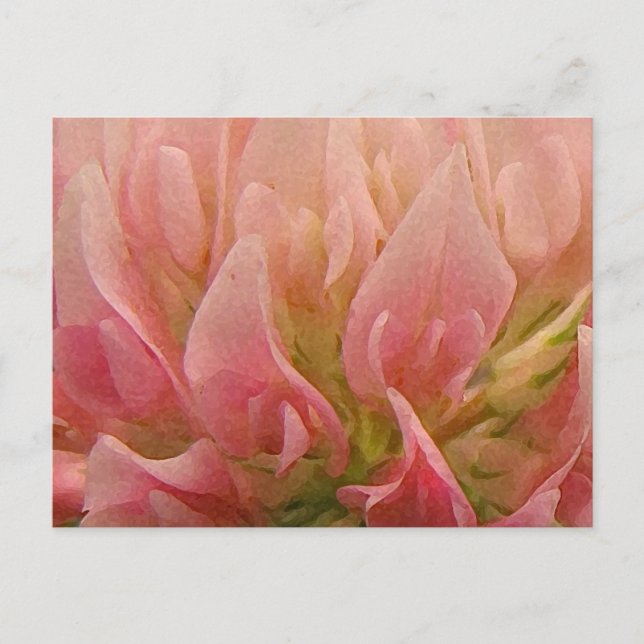Carte Postale Clocher rose (Devant)